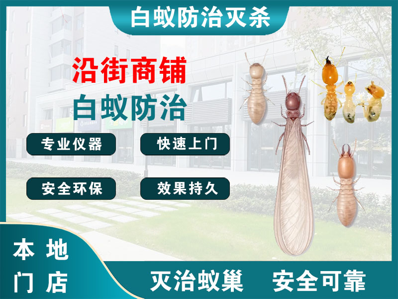 奉化沿街商铺白蚁防治