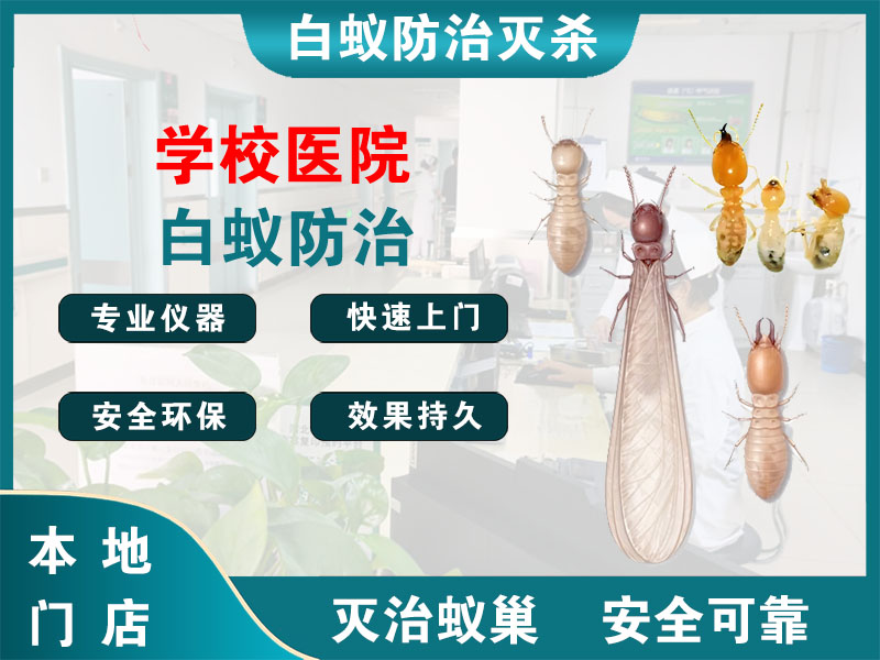 奉化学校医院白蚁防治