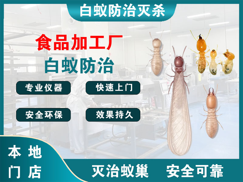 奉化食品加工厂白蚁防治