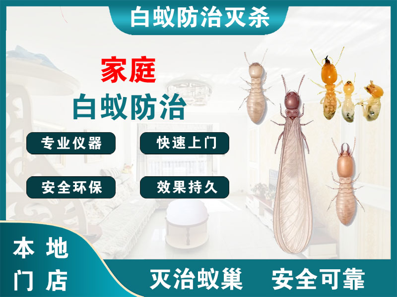 奉化家庭白蚁防治