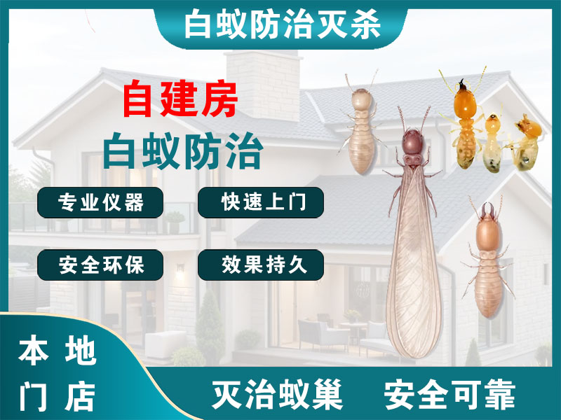 奉化自建房白蚁防治