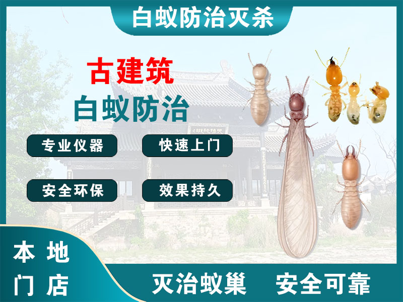 奉化古建筑白蚁防治