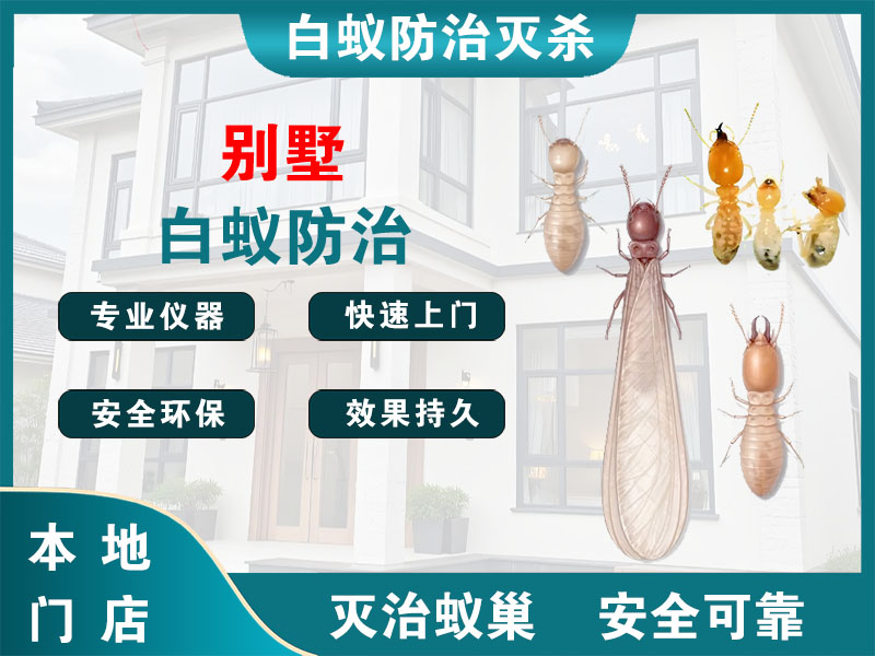 奉化别墅白蚁防治