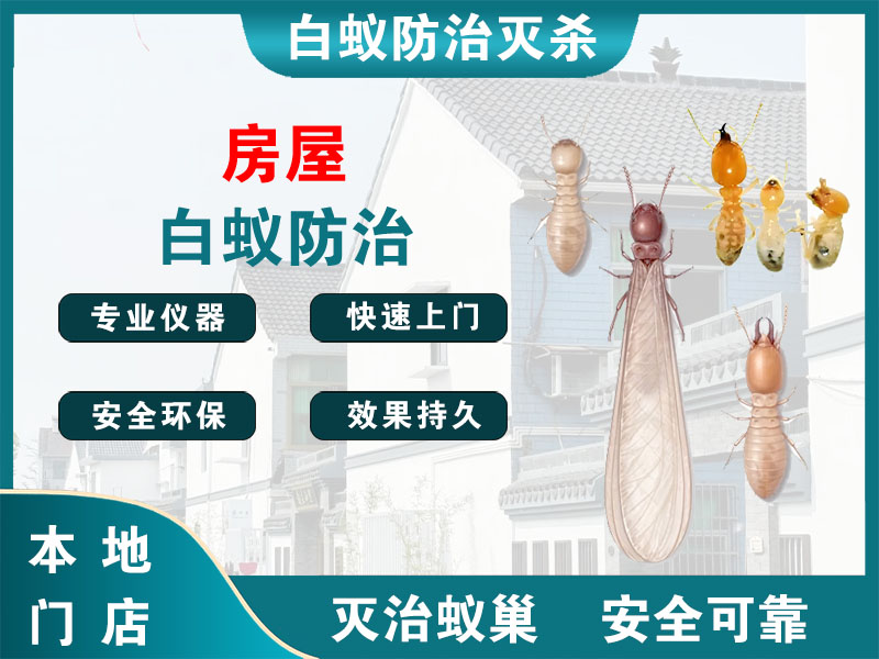 奉化房屋白蚁防治